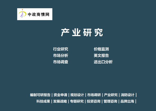 中国海外投资行业发展态势与投资战略咨询报告k8凯发国际登录2025-2031年全球及(图2)
